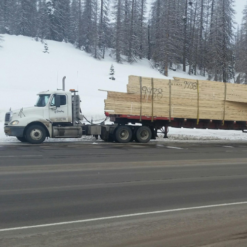 A white semi-truck hauls a large stack of lumber on a flatbed trailer through a snowy landscape. Tall, bare trees stand in the background.